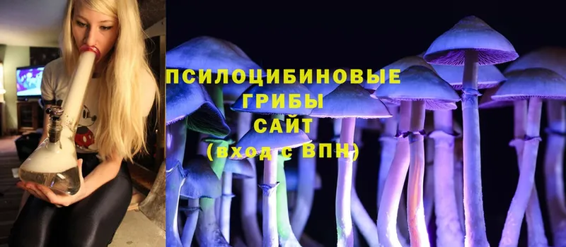 закладки  Анапа  KRAKEN ссылки  Псилоцибиновые грибы Psilocybine cubensis 